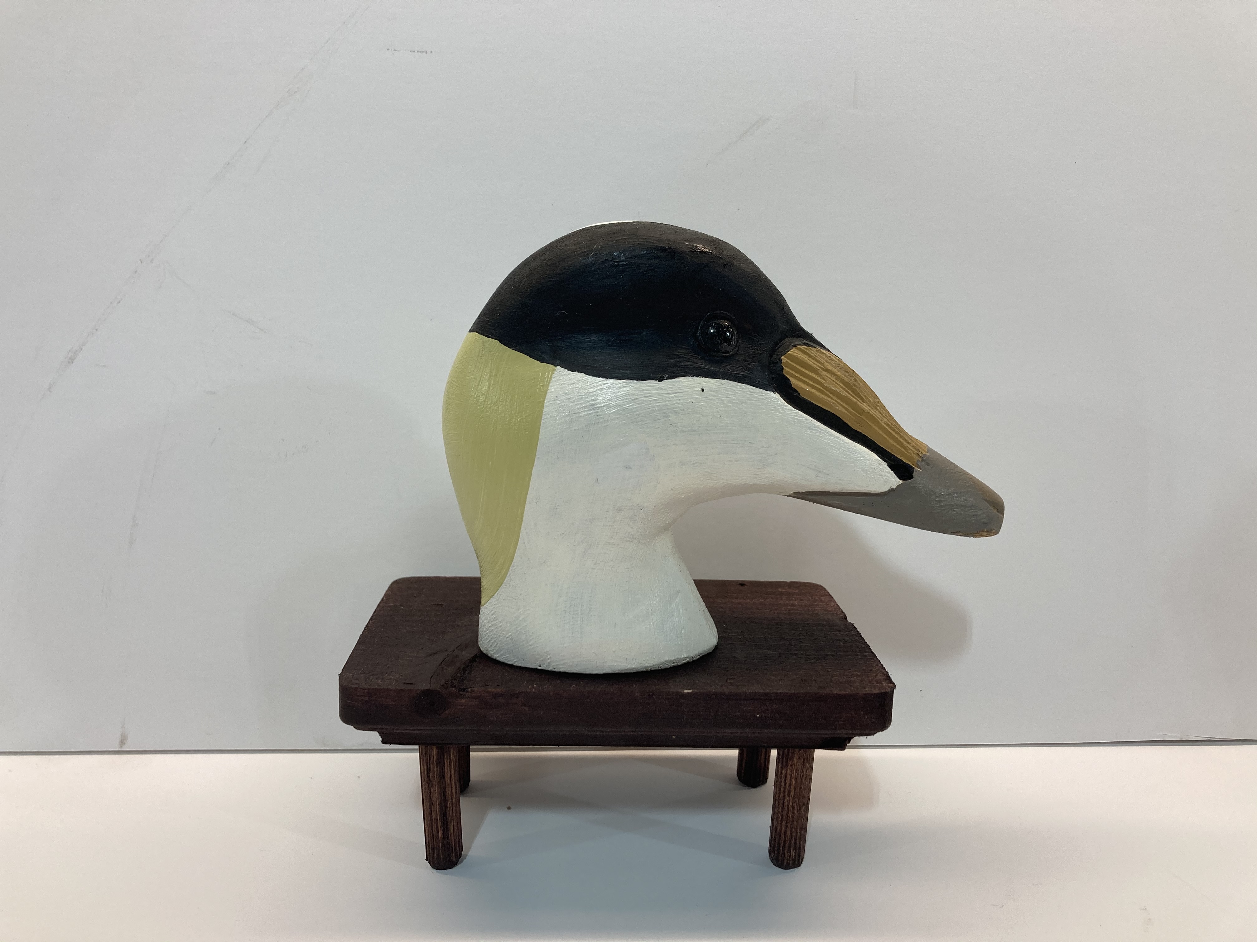 Decoy Carving Reference Photo Cd Details about   King Eider Taxidermy 