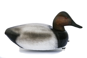 Series 72 Canvasback 