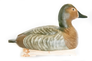 Wooden Canvasback - DC-Canvasback