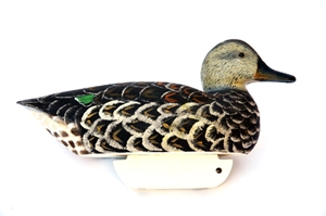 Wooden Green Winged Teal - DC-Greenteal