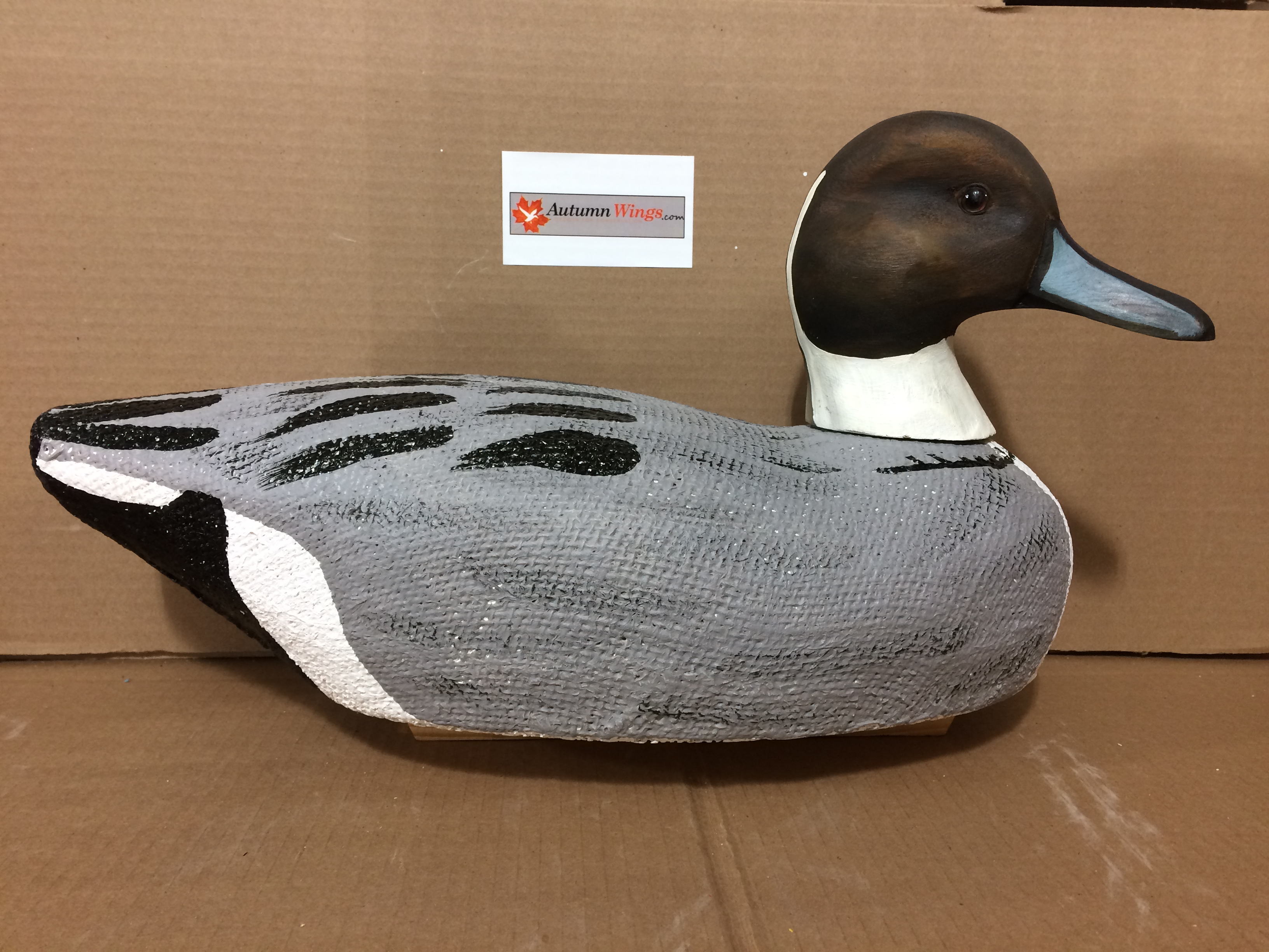 Pintail Decoy Reference Photo Cd 