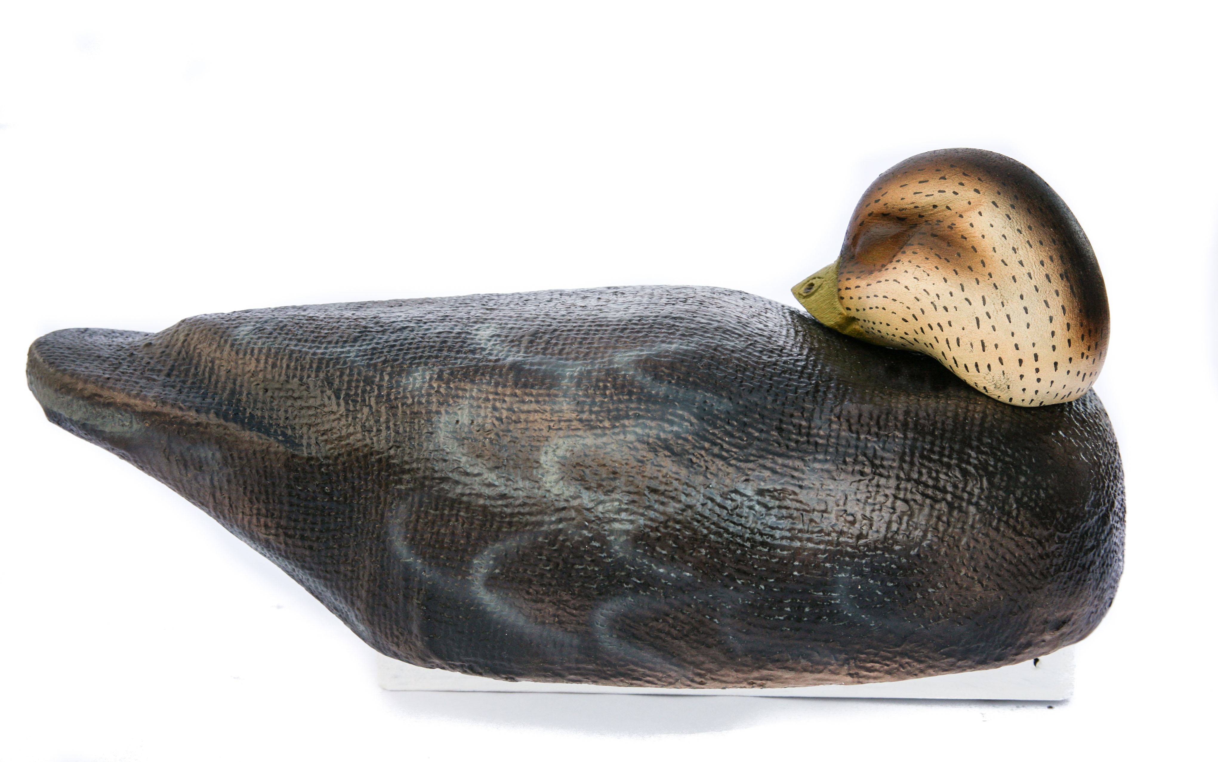 Series 72 Black Duck #BDC-Blackduck