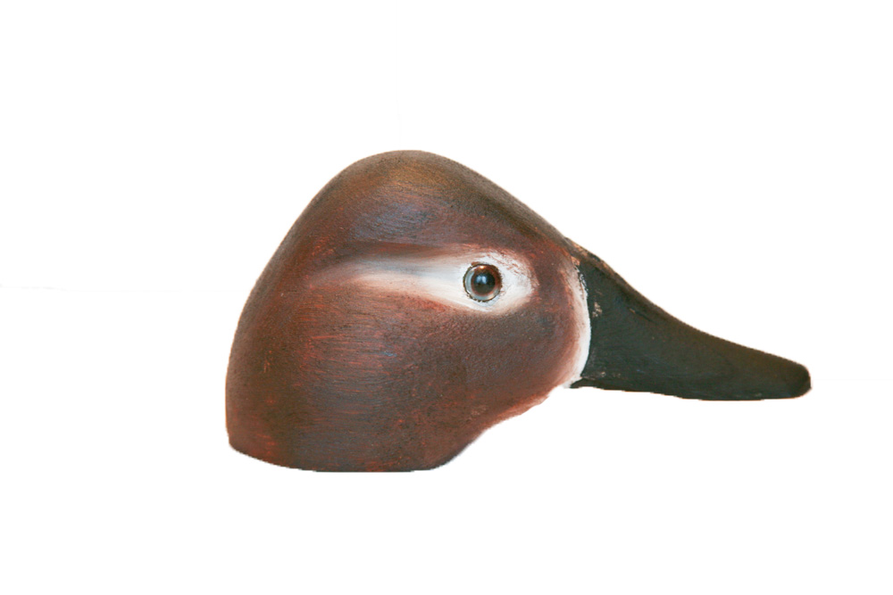 Canvasback Decoy Heads #HD-Canvasback