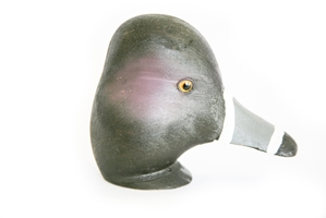 Ringneck Decoy Heads 