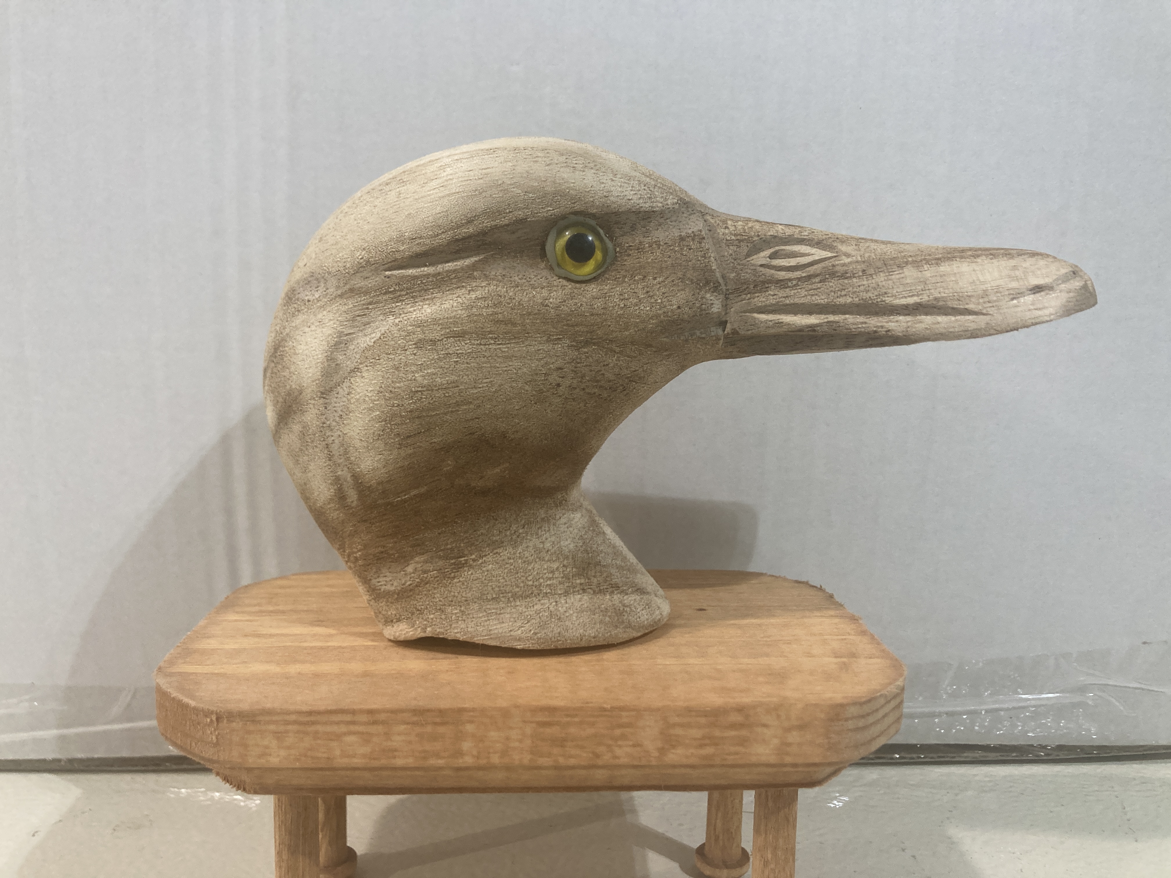 Shoveler Decoy Heads  