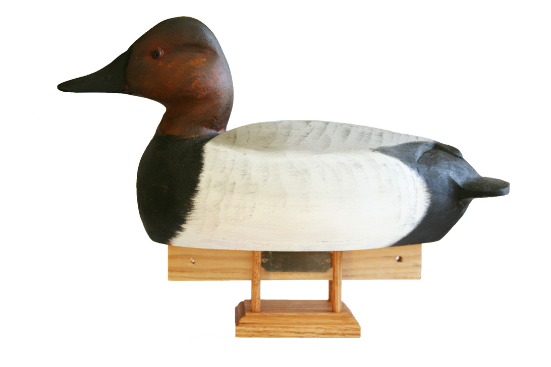 Wooden 2024 canvasback decoy