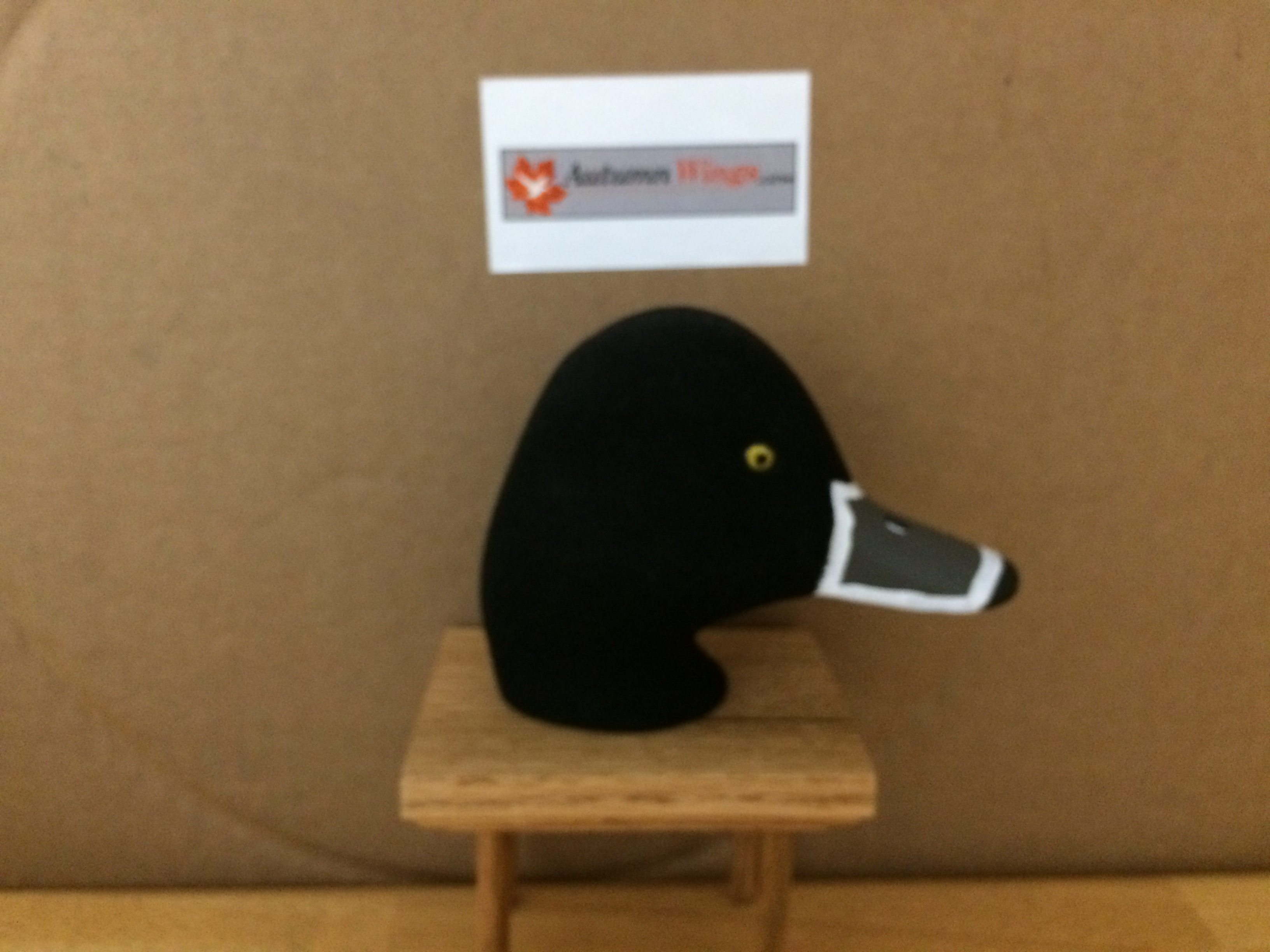 Size 72/Drake Flocked/Standard Pose