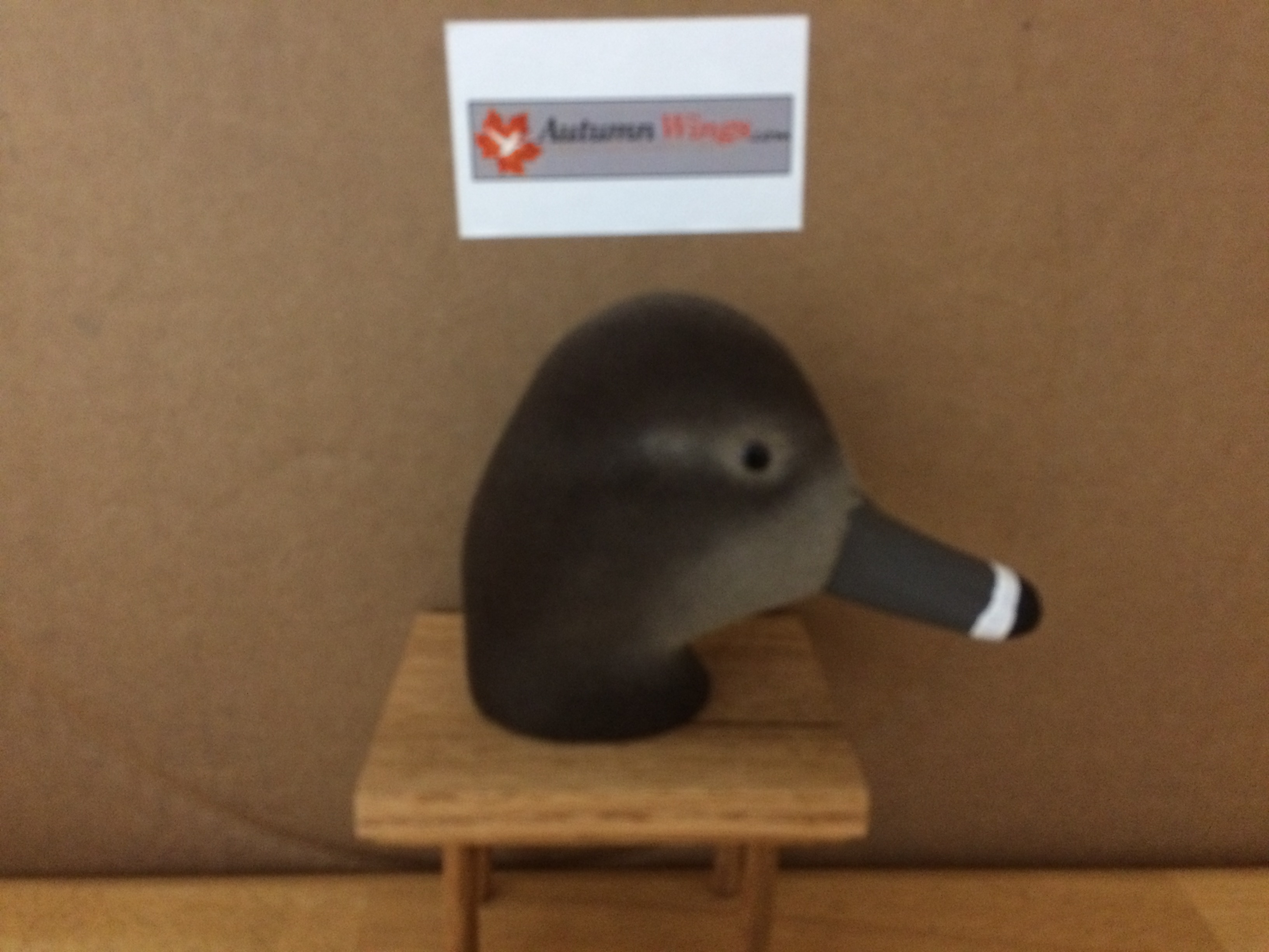 72 Size/Hen Flocked/Standard Pose